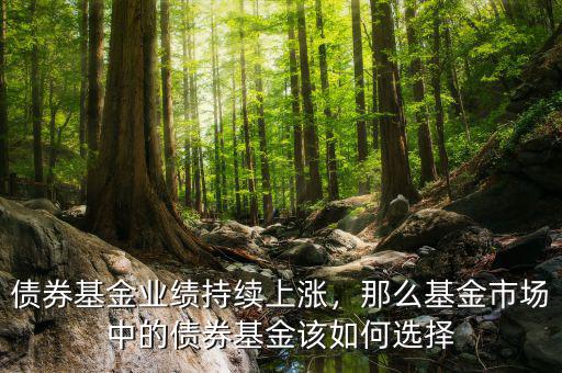 債券基金業(yè)績(jī)持續(xù)上漲，那么基金市場(chǎng)中的債券基金該如何選擇