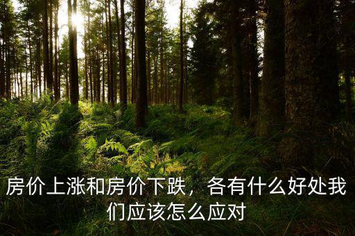 房?jī)r(jià)上漲和房?jī)r(jià)下跌，各有什么好處我們應(yīng)該怎么應(yīng)對(duì)