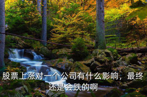 股票上漲對一個公司有什么影響，最終還是會跌的啊