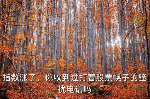 指數(shù)漲了，你收到過打著股票幌子的騷擾電話嗎