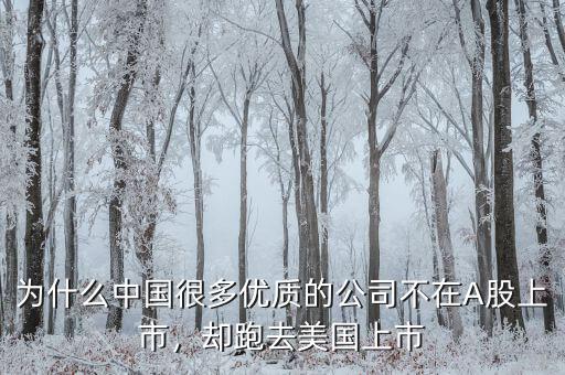 不盈利為什么能在美國上市,卻在美國上市。為什么