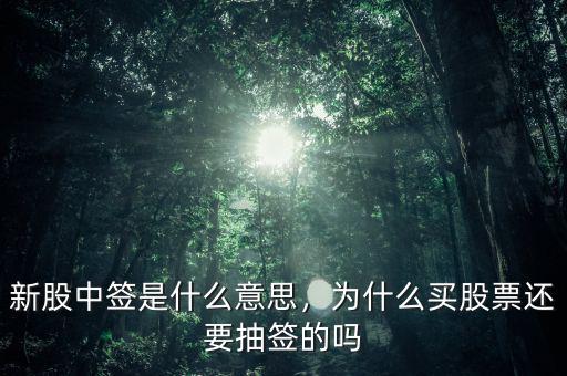 新股中簽是什么意思，為什么買股票還要抽簽的嗎