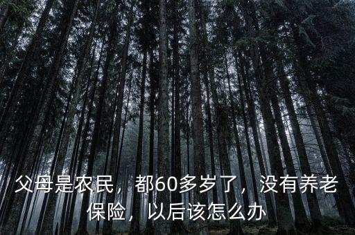 父母是農(nóng)民，都60多歲了，沒有養(yǎng)老保險(xiǎn)，以后該怎么辦