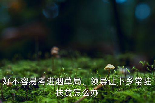 好不容易考進(jìn)煙草局，領(lǐng)導(dǎo)讓下鄉(xiāng)常駐扶貧怎么辦