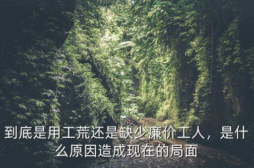 到底是用工荒還是缺少廉價(jià)工人，是什么原因造成現(xiàn)在的局面