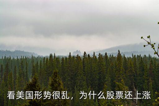 看美國形勢很亂，為什么股票還上漲
