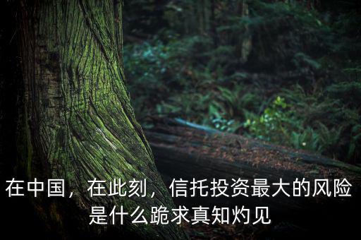 在中國，在此刻，信托投資最大的風(fēng)險是什么跪求真知灼見