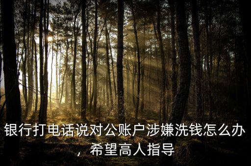 銀行打電話說對公賬戶涉嫌洗錢怎么辦，希望高人指導(dǎo)