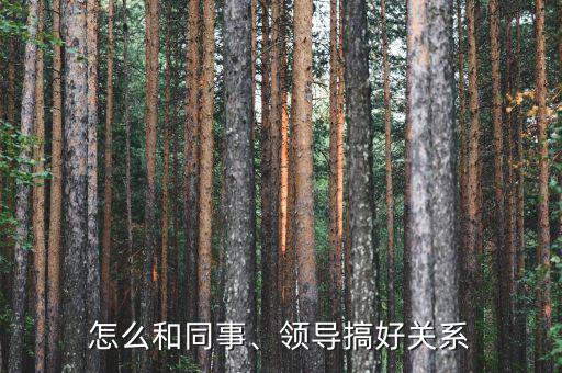 怎么和同事、領導搞好關系