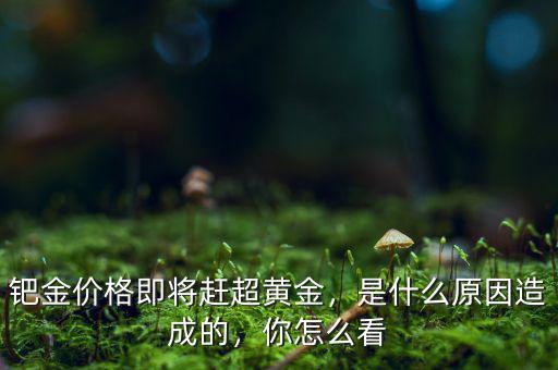 鈀金價(jià)格即將趕超黃金，是什么原因造成的，你怎么看