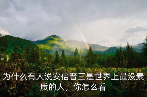 為什么有人說安倍晉三是世界上最沒素質(zhì)的人，你怎么看