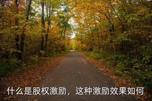 什么是股權(quán)激勵(lì)，這種激勵(lì)效果如何