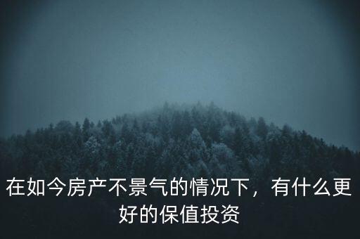 在如今房產(chǎn)不景氣的情況下，有什么更好的保值投資