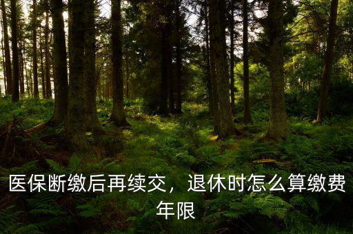 醫(yī)保斷繳后再續(xù)交，退休時(shí)怎么算繳費(fèi)年限