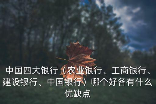 中國(guó)四大銀行（農(nóng)業(yè)銀行、工商銀行、建設(shè)銀行、中國(guó)銀行）哪個(gè)好各有什么優(yōu)缺點(diǎn)