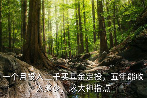 一個(gè)月投入二千買基金定投，五年能收入多少，求大神指點(diǎn)