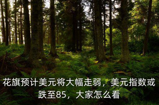 花旗預(yù)計美元將大幅走弱，美元指數(shù)或跌至85，大家怎么看