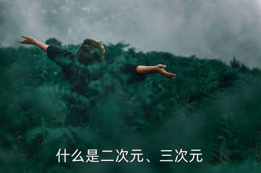 什么是二次元、三次元