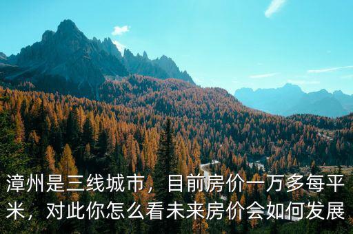 漳州是三線城市，目前房?jī)r(jià)一萬多每平米，對(duì)此你怎么看未來房?jī)r(jià)會(huì)如何發(fā)展