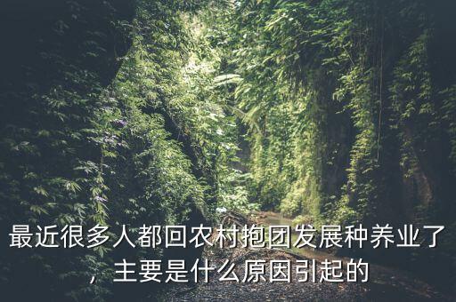 最近很多人都回農(nóng)村抱團(tuán)發(fā)展種養(yǎng)業(yè)了，主要是什么原因引起的