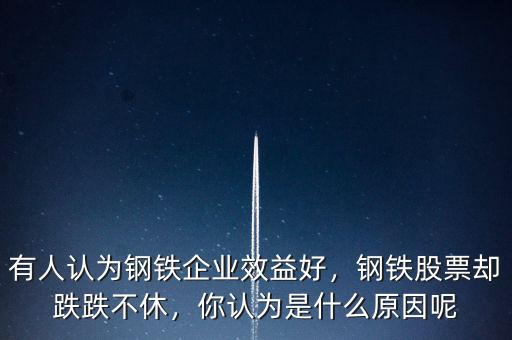 有人認(rèn)為鋼鐵企業(yè)效益好，鋼鐵股票卻跌跌不休，你認(rèn)為是什么原因呢