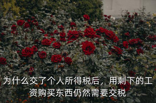 為什么交了個人所得稅后，用剩下的工資購買東西仍然需要交稅