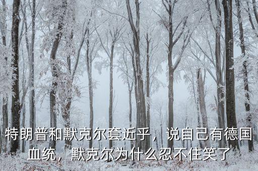 特朗普和默克爾套近乎，說自己有德國血統(tǒng)，默克爾為什么忍不住笑了