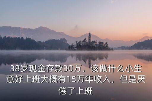 38歲現(xiàn)金存款30萬，該做什么小生意好上班大概有15萬年收入，但是厭倦了上班