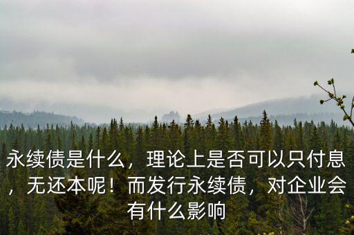 永續(xù)債是什么，理論上是否可以只付息，無還本呢！而發(fā)行永續(xù)債，對企業(yè)會有什么影響