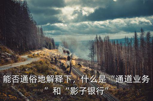麥卡利對影子銀行的定義是什么,什么是通道業(yè)務和影子銀行