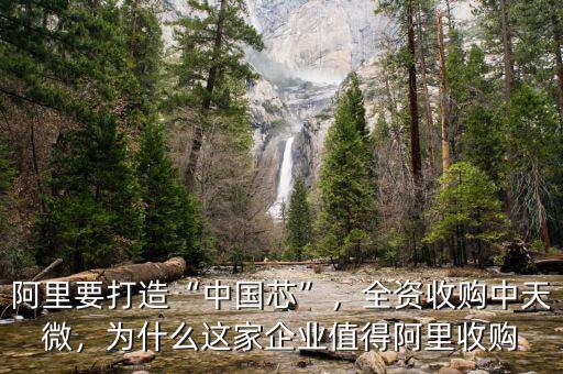 阿里要打造“中國芯”，全資收購中天微，為什么這家企業(yè)值得阿里收購