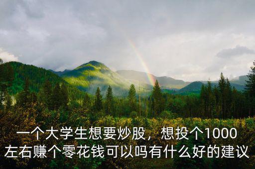 一個(gè)大學(xué)生想要炒股，想投個(gè)1000左右賺個(gè)零花錢可以嗎有什么好的建議