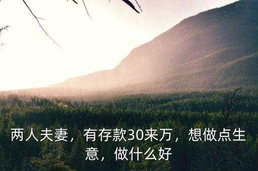 兩人夫妻，有存款30來萬，想做點生意，做什么好