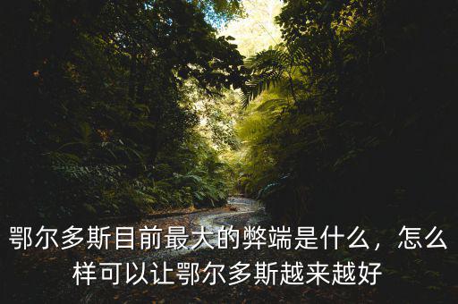 鄂爾多斯目前最大的弊端是什么，怎么樣可以讓鄂爾多斯越來(lái)越好