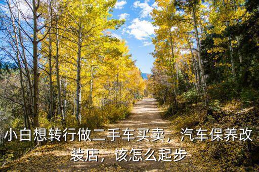 小白想轉(zhuǎn)行做二手車買賣，汽車保養(yǎng)改裝店，該怎么起步