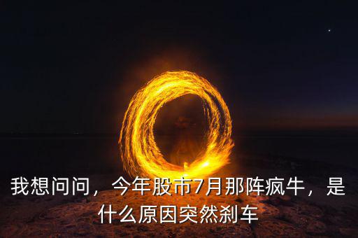 我想問問，今年股市7月那陣瘋牛，是什么原因突然剎車