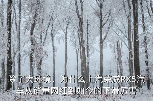 除了大環(huán)境，為什么上汽榮威RX5汽車從銷量網(wǎng)紅到如今的下滑厲害