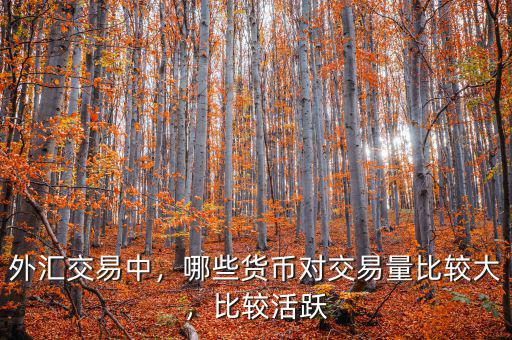 外匯交易中，哪些貨幣對交易量比較大，比較活躍