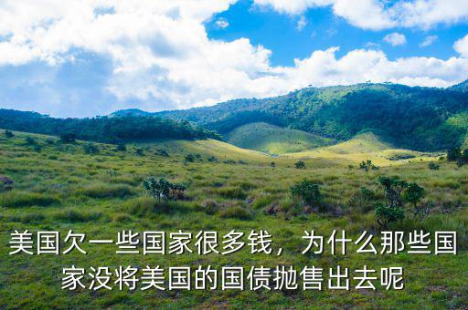 美國欠一些國家很多錢，為什么那些國家沒將美國的國債拋售出去呢