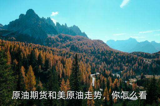 原油期貨和美原油走勢，你怎么看