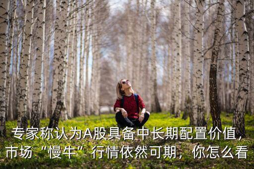 專家稱認為A股具備中長期配置價值，市場“慢?！毙星橐廊豢善冢阍趺纯? class=