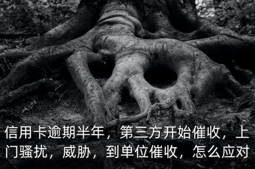 信用卡逾期半年，第三方開始催收，上門騷擾，威脅，到單位催收，怎么應(yīng)對