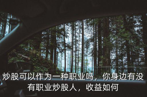 炒股可以作為一種職業(yè)嗎，你身邊有沒有職業(yè)炒股人，收益如何