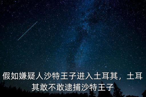 假如嫌疑人沙特王子進入土耳其，土耳其敢不敢逮捕沙特王子