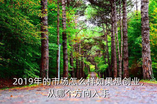 2019年的市場怎么樣如果想創(chuàng)業(yè)，從哪個方向入手