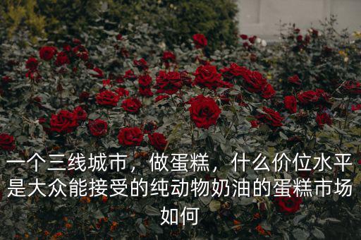 一個三線城市，做蛋糕，什么價位水平是大眾能接受的純動物奶油的蛋糕市場如何