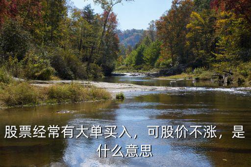 股票經(jīng)常有大單買入，可股價(jià)不漲，是什么意思