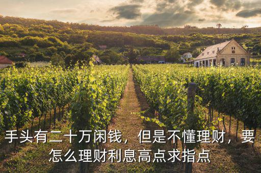 手頭有二十萬閑錢，但是不懂理財(cái)，要怎么理財(cái)利息高點(diǎn)求指點(diǎn)