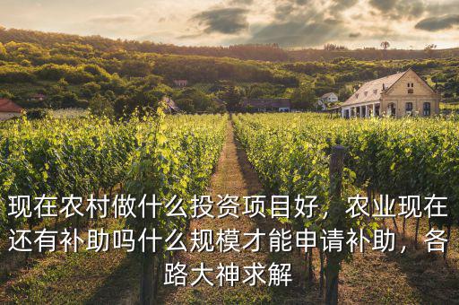 現(xiàn)在農(nóng)村做什么投資項(xiàng)目好，農(nóng)業(yè)現(xiàn)在還有補(bǔ)助嗎什么規(guī)模才能申請(qǐng)補(bǔ)助，各路大神求解