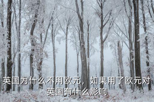 英國為什么不用歐元，如果用了歐元對英國有什么影響